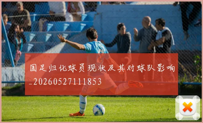 国足归化球员现状及其对球队影响_20260527111853